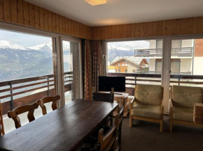 Diablerets D 010 -MOUNTAIN apartment 6 pers